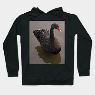 Black Swan Hoodie